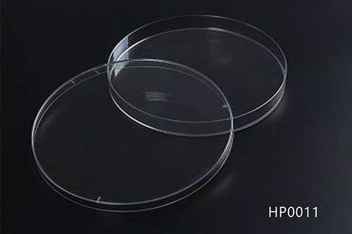 Plastic Petri Dish