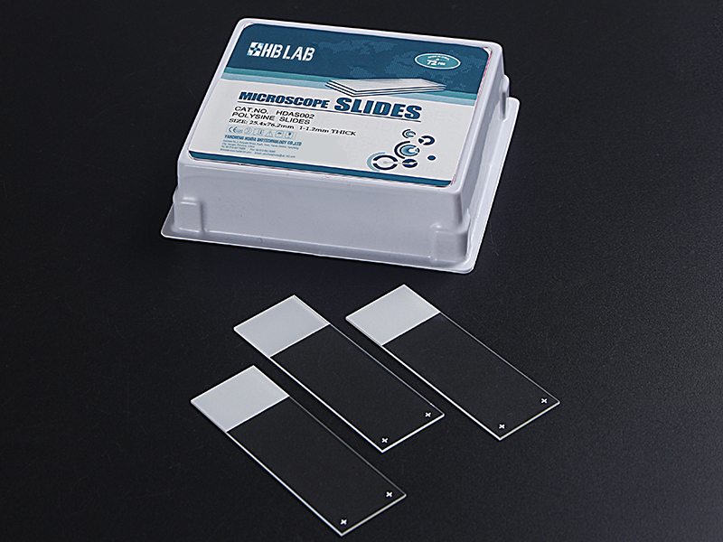 Polysine Microscope Slides